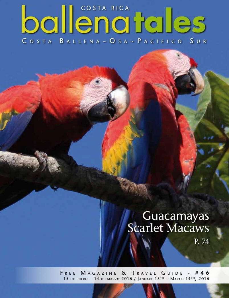 Sierpe de Osa un lugar muy especial para observar vida silvestre