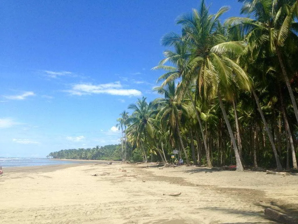 Bienes Raíces Costa Ballena, Osa, Pacífico, Sur, Costa Rica