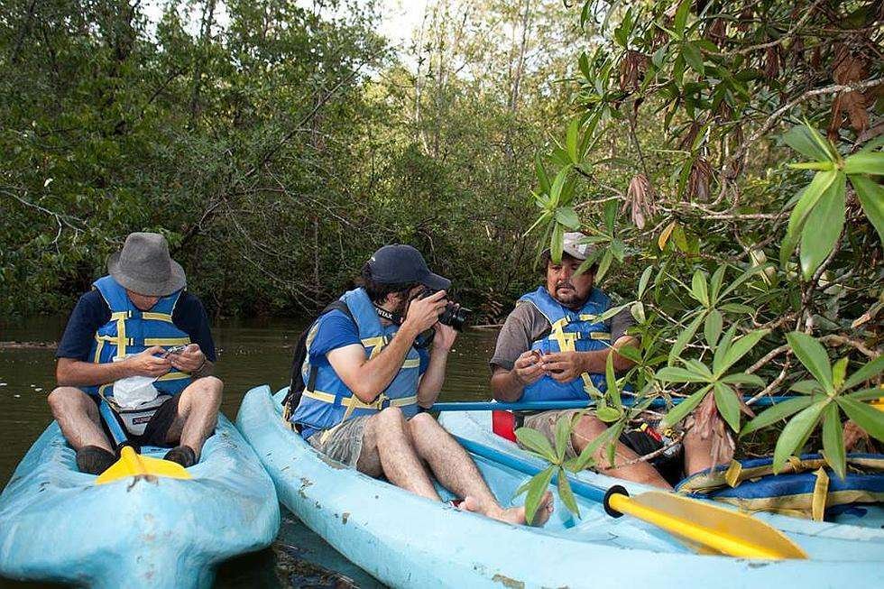 enjoy-osa-puravida-kayak